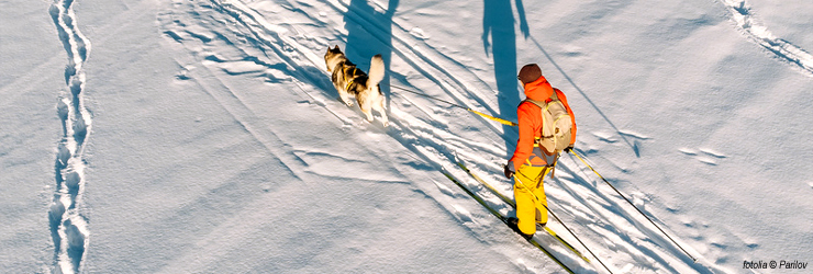 Ferienwohnung mit Hund in Tirol - Pettneu am Arlberg