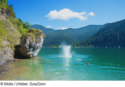 Urlaub mit Hund am Achensee