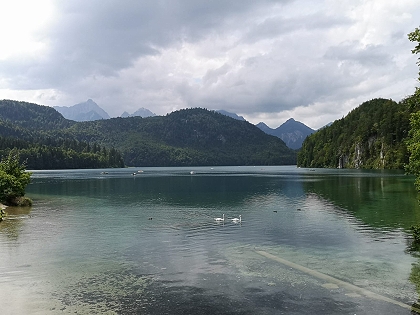 Alpsee im Allgäu im Urlaub in einer Ferienwohnung mit Hund