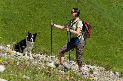 Ferienhaus mit Hund in Graubünden in der Schweiz