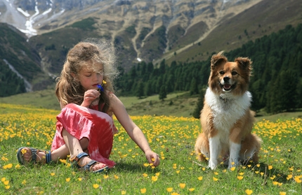 Ferienhaus Urlaub im Berner Oberland mit Hund