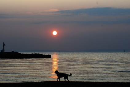 Ferienhaus Urlaub mit Hund in der Toskana