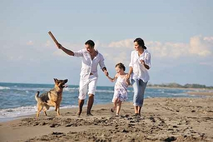 Ijsselmeer in Holland - Ferienhaus mit Hund