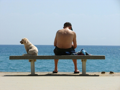 Ferienhaus mit Hund am Meer der Côte d'Azur