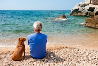 Ferienwohnung mit Hund an der Ostseeküste von Dänemark