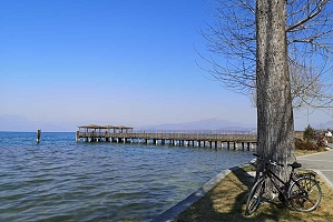 Ferienwohnung mit Hund am See