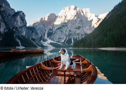 Urlaub in den Kitzbühler Alpen mit Hund