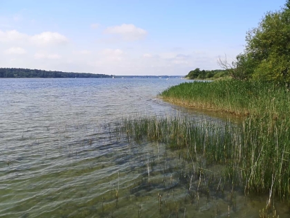 Urlaub in einer Ferienwohnung mit Hund in Plau an der Müritz