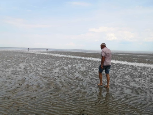 Wattwanderung in der Nordsee im Urlaub im Ferienhaus mit Hund