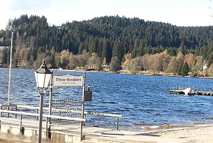 Ferienwohnung mit Hund im Schwarzwald