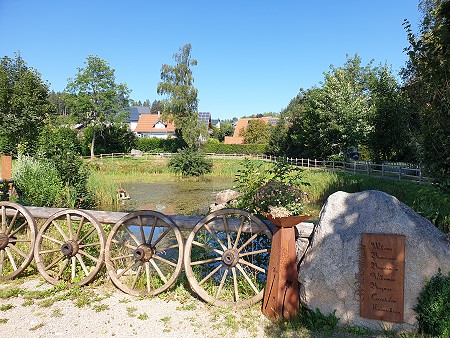 Urlaub in einer Ferienwohnung mit Hund im Schwarzwald