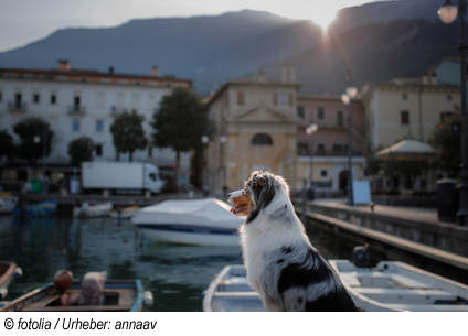 Urlaub mit Hund in Tignale