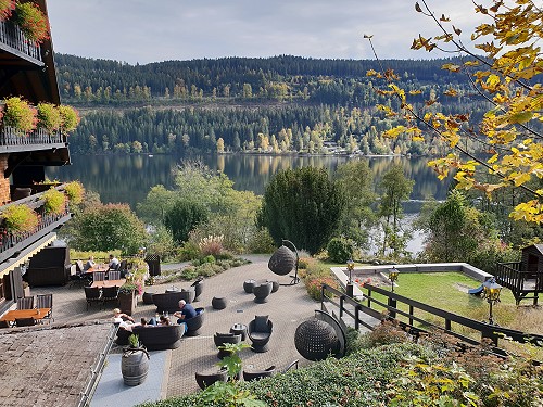 Urlaub in einer Ferienwohnung mit Hund am Titisee im Schwarzwald