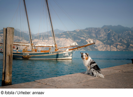 Urlaub in Torbole mit Hund 