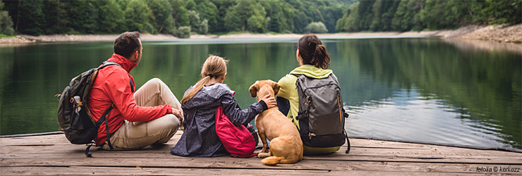 Ferienwohnung mit Hund im Salzburger Land - Zell am See