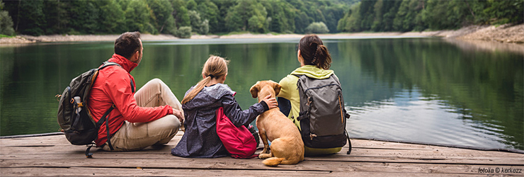 Ferienwohnung mit Hund im Salzburger Land - Flachau