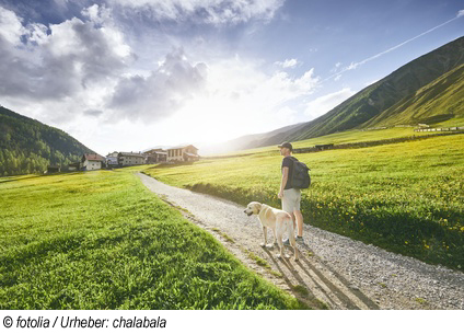 Urlaub am Zellersee in einer Ferienwohnung mit Hund