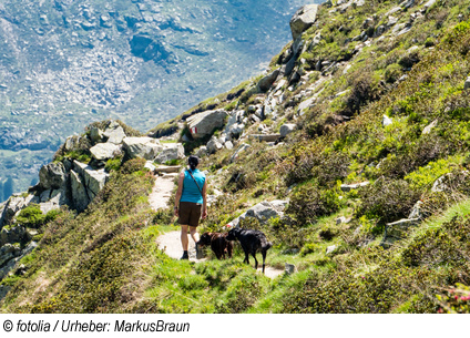 Urlaub im Zillertal mit Hund