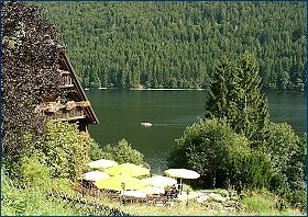 Der Titisee im Schwarzwald - Urlaub mit Hund