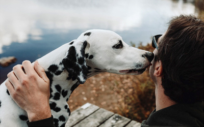 Ferienwohnung mit Hund am Ossiachersee