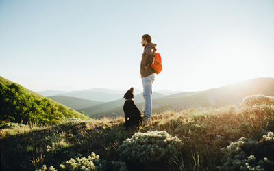 Zillertal Ferienhaus mit Hund